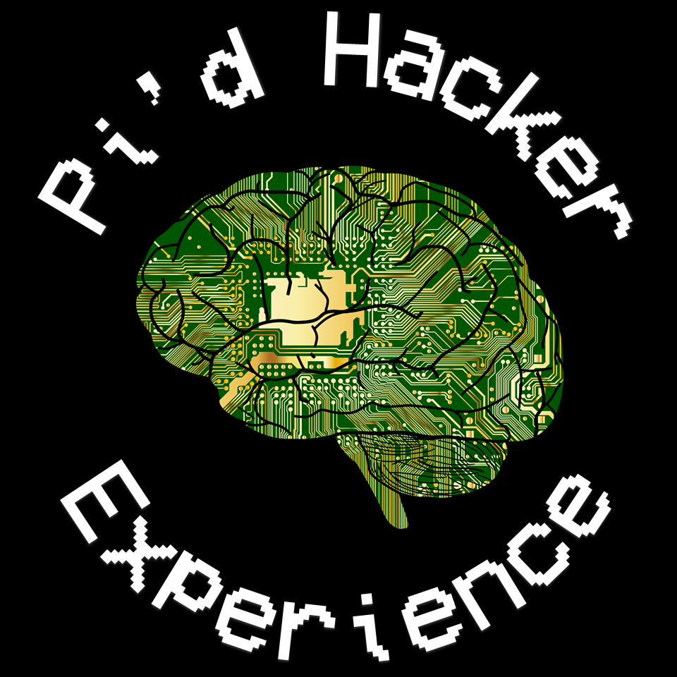 Pi'd Hacker Experience | Cybersecurity Workshop & Job Simulator (BYOD) - notiaPoint, Inc.